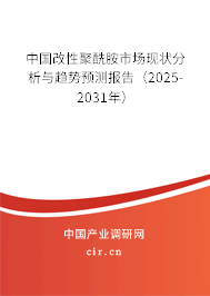 中國改性聚酰胺市場現(xiàn)狀分析與趨勢預測報告（2024-2030年）