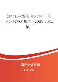 湖北鞋靴發(fā)展現(xiàn)狀分析與前景趨勢(shì)預(yù)測(cè)報(bào)告（2025-2031年）