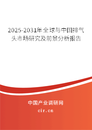 2025-2031年全球與中國排氣頭市場研究及前景分析報(bào)告