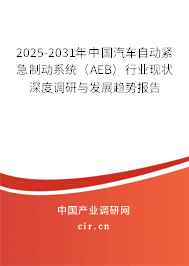 2025-2031年中國汽車自動(dòng)緊急制動(dòng)系統(tǒng)（AEB）行業(yè)現(xiàn)狀深度調(diào)研與發(fā)展趨勢(shì)報(bào)告