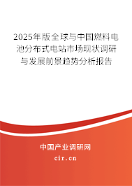 2025年版全球與中國燃料電池分布式電站市場現(xiàn)狀調研與發(fā)展前景趨勢分析報告