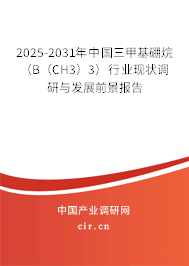 2025-2031年中國(guó)三甲基硼烷（B（CH3）3）行業(yè)現(xiàn)狀調(diào)研與發(fā)展前景報(bào)告