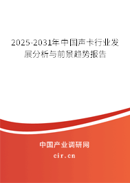 2025-2031年中國聲卡行業(yè)發(fā)展分析與前景趨勢報(bào)告