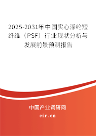2025-2031年中國實(shí)心滌綸短纖維（PSF）行業(yè)現(xiàn)狀分析與發(fā)展前景預(yù)測報(bào)告