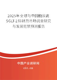 2025年全球與中國(guó)糖尿病SGLT-2抑制劑市場(chǎng)調(diào)查研究與發(fā)展前景預(yù)測(cè)報(bào)告