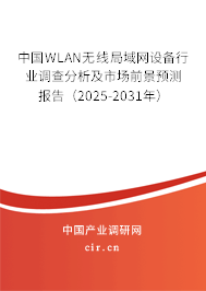 中國WLAN無線局域網(wǎng)設備行業(yè)調查分析及市場前景預測報告（2025-2031年）