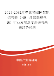 2025-2031年中國(guó)物聯(lián)網(wǎng)智能燃?xì)獗恚∟B-IoT智能燃?xì)獗恚┬袠I(yè)發(fā)展深度調(diào)研與未來(lái)趨勢(shì)預(yù)測(cè)