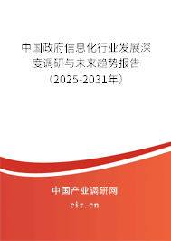 中國政府信息化行業(yè)發(fā)展深度調研與未來趨勢報告（2025-2031年）