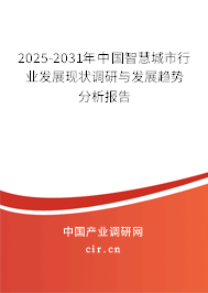 2025-2031年中國智慧城市行業(yè)發(fā)展現(xiàn)狀調研與發(fā)展趨勢分析報告