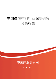 中國磁性材料行業(yè)深度研究分析報(bào)告