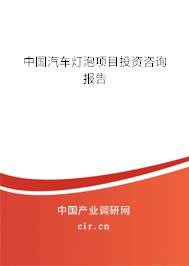 中國(guó)汽車(chē)燈泡項(xiàng)目投資咨詢(xún)報(bào)告 中國(guó)汽車(chē)燈泡項(xiàng)目投資咨詢(xún)報(bào)告