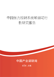 中國張力控制系統(tǒng)項(xiàng)目可行性研究報(bào)告