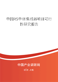 中國(guó)RS中繼集線器項(xiàng)目可行性研究報(bào)告