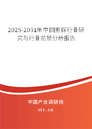 2025-2031年中國擔(dān)保行業(yè)研究與行業(yè)前景分析報(bào)告