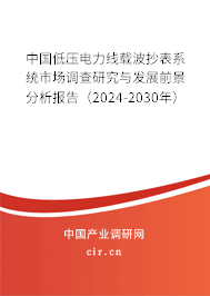 中國低壓電力線載波抄表系統(tǒng)市場調(diào)查研究與發(fā)展前景分析報告(2024-2030年) 中國低壓電力線載波抄表系統(tǒng)市場調(diào)查研究與發(fā)展前景分析報告(2024-2030年)