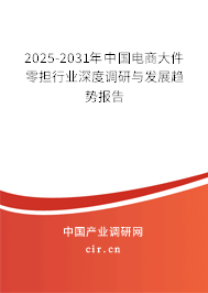 2025-2031年中國電商大件 零擔(dān)行業(yè)深度調(diào)研與發(fā)展趨勢報(bào)告