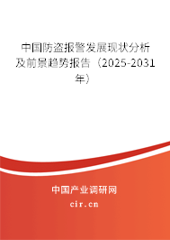 中國(guó)防盜報(bào)警發(fā)展現(xiàn)狀分析及前景趨勢(shì)報(bào)告（2025-2031年）