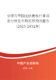 全球與中國光伏面板行業(yè)調(diào)查分析及市場前景預(yù)測報(bào)告（2025-2031年）