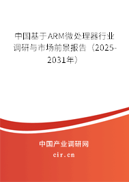 中國基于ARM微處理器行業(yè)調(diào)研與市場前景報告（2025-2031年）
