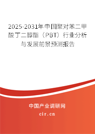 2025-2031年中國聚對苯二甲酸丁二醇酯（PBT）行業(yè)分析與發(fā)展前景預(yù)測報告