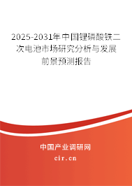 2025-2031年中國(guó)鋰磷酸鐵二次電池市場(chǎng)研究分析與發(fā)展前景預(yù)測(cè)報(bào)告