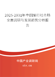 2025-2031年中國旅行社市場全面調(diào)研與發(fā)展趨勢分析報告