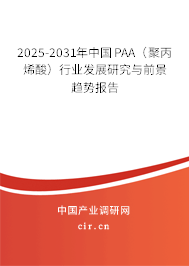 2025-2031年中國(guó)PAA（聚丙烯酸）行業(yè)發(fā)展研究與前景趨勢(shì)報(bào)告