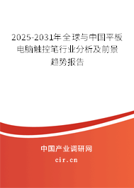 2025-2031年全球與中國(guó)平板電腦觸控筆行業(yè)分析及前景趨勢(shì)報(bào)告