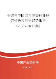 全球與中國深井篩管行業(yè)研究分析及前景趨勢報告（2025-2031年）