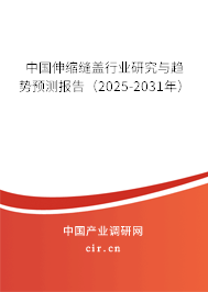 中國伸縮縫蓋行業(yè)研究與趨勢預(yù)測報(bào)告（2025-2031年）