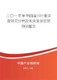 二〇一三年中國濕巾行業(yè)深度研究分析及未來發(fā)展前景預(yù)測報告