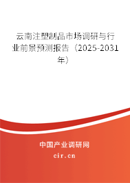 云南注塑制品市場調研與行業(yè)前景預測報告（2025-2031年）