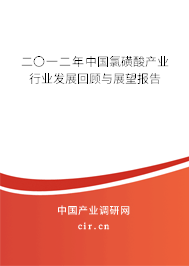 二〇一二年中國氯磺酸產(chǎn)業(yè)行業(yè)發(fā)展回顧與展望報告