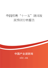 中國照明“十一五”期間發(fā)展預測分析報告