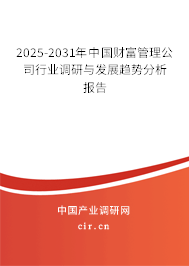 2025-2031年中國(guó)財(cái)富管理公司行業(yè)調(diào)研與發(fā)展趨勢(shì)分析報(bào)告