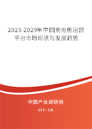 2023-2029年中國充電樁運營平臺市場現(xiàn)狀與發(fā)展趨勢