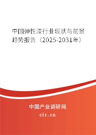 中國彈性漆行業(yè)現(xiàn)狀與前景趨勢報告（2025-2031年）