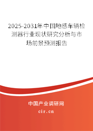 2025-2031年中國(guó)地感車(chē)輛檢測(cè)器行業(yè)現(xiàn)狀研究分析與市場(chǎng)前景預(yù)測(cè)報(bào)告