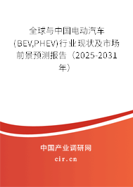 全球與中國電動汽車(BEV,PHEV)行業(yè)現狀及市場前景預測報告（2025-2031年）