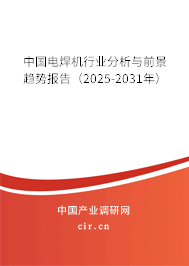 中國電焊機(jī)行業(yè)分析與前景趨勢(shì)報(bào)告（2025-2031年）