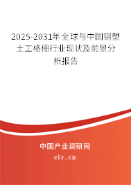 2025-2031年全球與中國鋼塑土工格柵行業(yè)現(xiàn)狀及前景分析報(bào)告 2025-2031年全球與中國鋼塑土工格柵行業(yè)現(xiàn)狀及前景分析報(bào)告