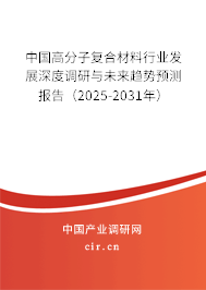 中國(guó)高分子復(fù)合材料行業(yè)發(fā)展深度調(diào)研與未來趨勢(shì)預(yù)測(cè)報(bào)告（2025-2031年）