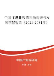 中國IT職業(yè)教育市場調(diào)研與發(fā)展前景報告（2025-2031年）