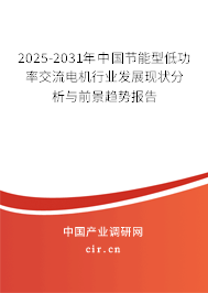 2025-2031年中國節(jié)能型低功率交流電機(jī)行業(yè)發(fā)展現(xiàn)狀分析與前景趨勢報告