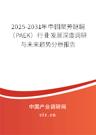 2025-2031年中國(guó)聚芳醚酮（PAEK）行業(yè)發(fā)展深度調(diào)研與未來趨勢(shì)分析報(bào)告