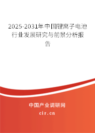 2025-2031年中國(guó)鋰離子電池行業(yè)發(fā)展研究與前景分析報(bào)告