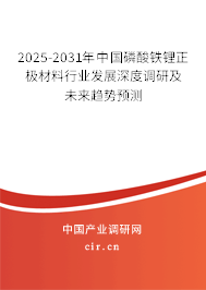2025-2031年中國磷酸鐵鋰正極材料行業(yè)發(fā)展深度調(diào)研及未來趨勢預測