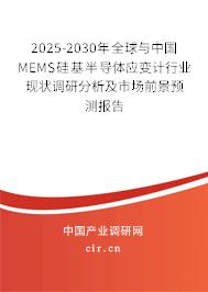 2025-2030年全球與中國MEMS硅基半導(dǎo)體應(yīng)變計(jì)行業(yè)現(xiàn)狀調(diào)研分析及市場前景預(yù)測(cè)報(bào)告