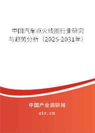 中國汽車點(diǎn)火線圈行業(yè)研究與趨勢分析（2025-2031年）