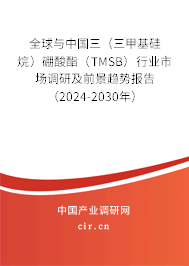 全球與中國三（三甲基硅烷）硼酸酯（TMSB）行業(yè)市場調(diào)研及前景趨勢報告（2024-2030年）